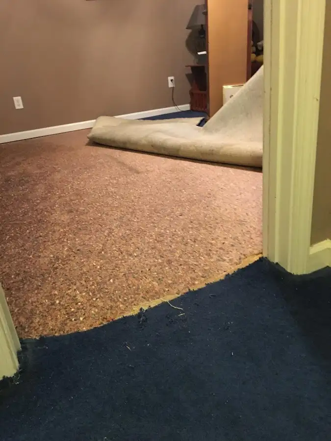 Carpet pad removal revealing water damage during Drying & Dehumidification in Greenfield