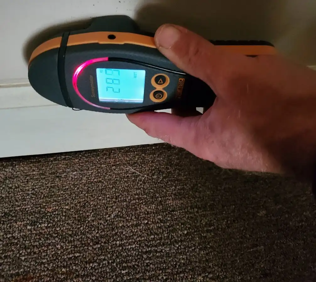 Moisture detection at baseboard during Burst Pipe Cleanup in Greenfield